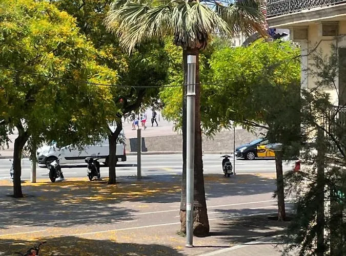 Som Nit Port Vell Barcelona